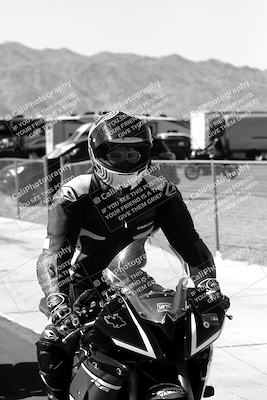 media/Mar-08-2025-TrackXperience (Sat) [[277b597a28]]/1-Around the Pits - Pre Grid/